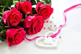 Ultra Hd Red Rose 4k Download Free Love Rose Images Rose Images Rose Wallpaper