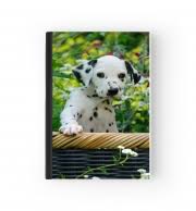 This is a video of nothing but the cutest dalmatian puppies.if you enjoyed this video please leave a like and subscribe for more great content.▶. Binder Cute Dalmatian Puppy In A Basket White Bags Accessories