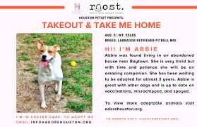 Foster homes allow us to maximize space. Takeout Take Me Home Adoption Campaign Houston Petset