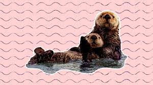 My girlfriend wants to sleep with her other partners, but not with me—is  that selfish? | Xtra Magazine