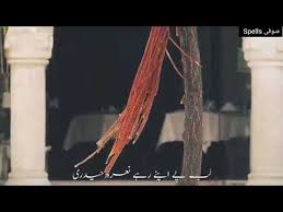 If you are mentioning this then you are decreasing the value of imaan. 2 97 Mb Janam Fida E Haidri Short Clip Whatsapp Status Download Lagu Mp3 Gratis Mp3 Dragon