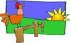 Perjelas gambar ayam , seperti yang ditunjukkan pada gambar di atas. Gambar Ayam Kartun Vektor Di 2021 Kartun Gambar Karakter Kartun