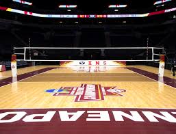 Check spelling or type a new query. Indoor Volleyball Carbon Net Systems Sports Imports