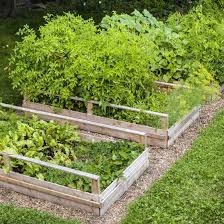 Planning A Postage Stamp Garden Farm And Garden Grit Magazine Backyard Garden Building A Raised Garden Garden Beds