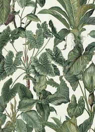 paradisio 6303 07 tapete ansicht behang bloemen behang structuur behang