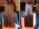 Best Brand Olive Oil For Hair Growth