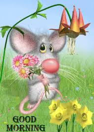 546 likes · 138 talking about this. Good Morning Have A Great Day Filled With Joy And Love Good Morning Gif Good Morning Cat Cupcakes
