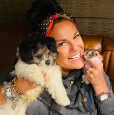 Where to find red velvet cake without custom order?