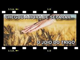 É CHEGADA A HORA DE SEPARAR O JOIO DO TRIGO - YouTube