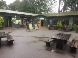 Delamere Forest Cafe Picture Of Delamere Cafe Northwich Tripadvisor