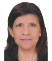 HELGA CATHERINE SCHAEFER UGARTE candidato Municipalidad Provincial HUAURA