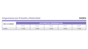Cuándo se pagan jubilaciones, pensiones y asignaciones la administración nacional de servicios sociales difundió las fechas de cobro para los días 28, 29 y 30 de este mes. Anses Ya Esta Publicado El Calendario De Pagos Para Junio 2021