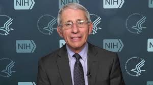 He was one of the principal architects of. Dr Anthony Fauci Delay Anything That S Elective To Spare Medical System