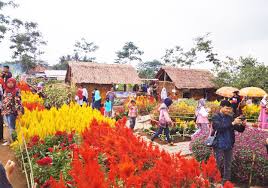 Taman bunga nusantara yang meresmikan adalah presiden soeharto pada tahun 1995. Wisatawan Membludak Taman Bunga Kadukaweng Jadi Idola Radarbanten Co Id