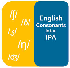 It is generally agreed that there are approximately 44 sounds in english, with some variation dependent on accent and articulation. Ipa English Consonant Sounds Examples Listen Record