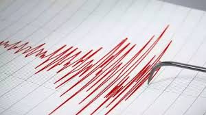 3-magnitude tremor hits Gujarat's Kutch, no loss of life reported |  Ahmedabad News - Times of India