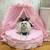 Large Luxury Dog Beds