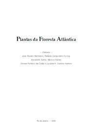 Image result for Zygophlebia villosissima