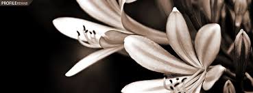 Black And White Facebook Cover Black And White Flower Facebook Cover Facebook Cover Download Cover Pics For Facebook Facebook Cover Images Facebook Cover