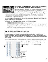 Topics include macromolecules like dna, rna and proteins and how processes like replication, transcription and translation operate, eukaryotic genetics. Dna Replication Hands On Activity Worksheets Tpt