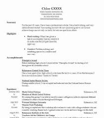 United Nations Volunteer Resume Example Undp Jonesboro Cv Template Cv Design Template Cv Examples