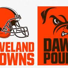 Numbers and letters are in white. The Browns Have A New Logo That Looks Like The Old Logo Sbnation Com