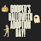 Cooper’s Bday Bash & Street Dog Hero Adoption — event image