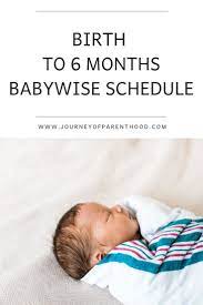 Birth To Six Month Babywise Schedule Baby Wise Baby Schedule Baby Bedtime