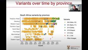 The delta variant first seen in india now appears to be dominating infections in south africa, de oliveira of the network for genomic surveillance in south africa told a virtual briefing. J99ihbyevjdusm