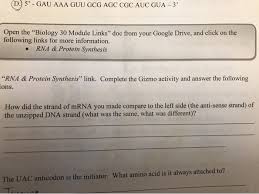 Dna is composed of the introduction: Solved Gau Aaa Guu Gcg Agc Cgc Auc Gua 3 Open The B Chegg Com