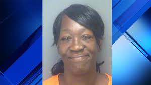 Deputies say Florida woman has made 11,000 harassing calls to police this  year