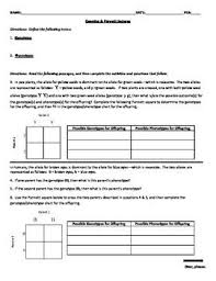 Genetics Punnett Squares Worksheet Worksheets Punnett Squares Middle School