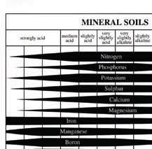 Ph Table And Ppm Calculations