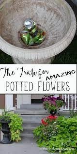 Having Nice And Full Flower Pots Is Easier Then You Think Head Over To My Blog For All The D Flower Pots Outdoor Container Gardening Flowers Planting Flowers