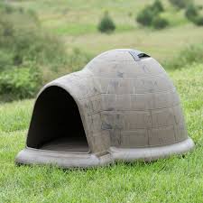 Decorating Igloo Dog House Reviews With Outdoor Cat House