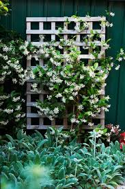 Spalier Rosenbogen Und Weitere Blumenstutzen Sind Optische Highlights Im Garten Kletterpflanzen Gartendekoration Gartengestaltung