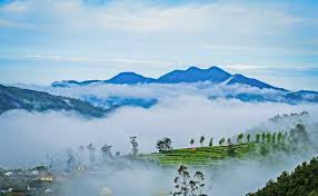 52 Best Places to visit in Munnar | Top Attractions & Sightseeing