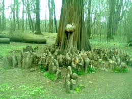 Kereskedelmi felhasználásra ingyenes ✓ nem szükséges feltüntetni a tulajdonságokat ✓. Leggyokerek Avagy Sok Sok Kiskatona Mocsari Ciprus Martonvasarhely A Kastely Parkjaban Hungary Bald Cypress