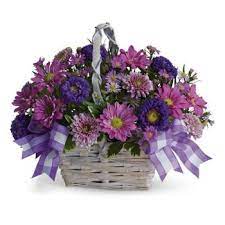 We did not find results for: Purple Flowers Delivery Flower Delivery Brisbane Online Florist Brisbane