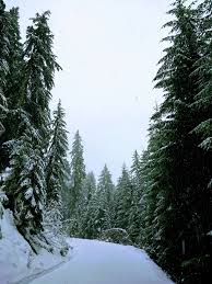 Summer is here and we're in the thick of it! Best Beginner Cross Country Skiing Near Seattle Ordinary Adventures