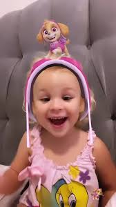 Paw Patrol Filter Border Collie