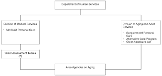State Long Term Care Reform Development Of Community Care