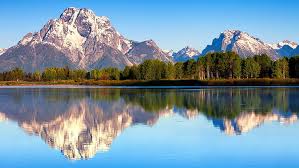 Find your perfect nature wallpaper for your phone, desktop, website and more! Hd Wallpaper Desktop Background Picture Nature 1920x1080 Wallpaper Flare