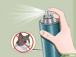 We did not find results for: How To Keep Cats Away 9 Steps With Pictures Wikihow