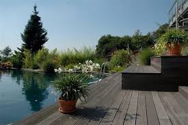 Pool Salzwasser Pool Mit Salzelektrolyse Wasser Im Garten Schwimmteich Pool