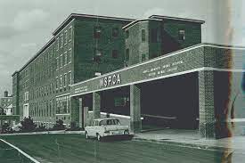 This profile has not been claimed by the company. Angell Animal Medical Center Then And Now