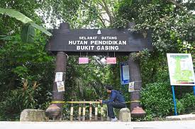 pətalɪŋ dʒaja), commonly called pj by the locals, is a city in petaling district, in the state of selangor, malaysia. Visitors Make Full Use Of Open Parks The Star
