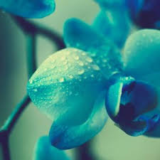 LG LG600 Wallpapers