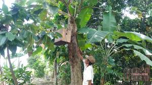 Jun 26, 2021 · hutan jati pasar kemis buka atau tutup : Tempat Wisata Hutan Jati Tangerang Area Wisata Asia