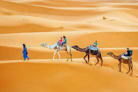 The export price is less than $10 per dose, which is half the price of pfizer's and sinopharm's vaccines, and 2.5 times cheaper than moderna's medicine. Full Day Tunisia Sahara Desert Camel Trek In Douz 2021